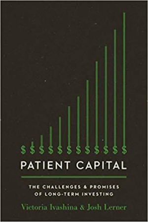 Patient Capital : The Challenges and Promises of L...